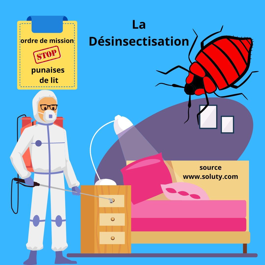 Désinsectisation punaises de lit