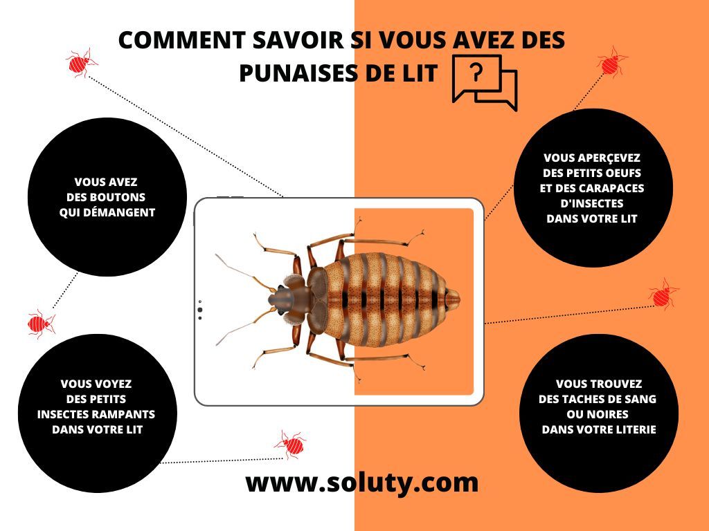 Quels sont les indices montrant que je suis envahi par des punaises de lit ?