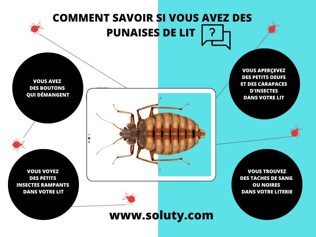 Comment savoir si je suis infesté par des punaises de lit à Mende (48) ?