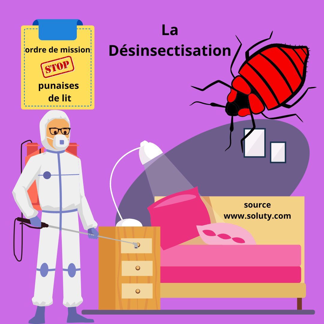 Désinsectisation punaises de lit