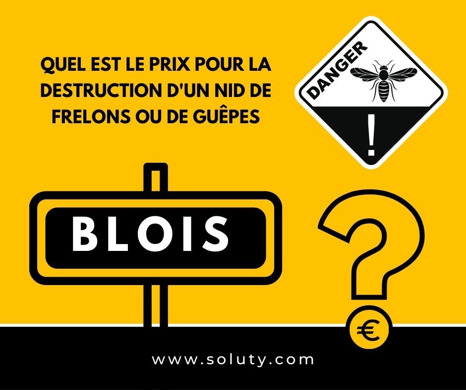 BLOIS quel est le prix pour la destruction d'un nid de frelons ou de guêpes  ?