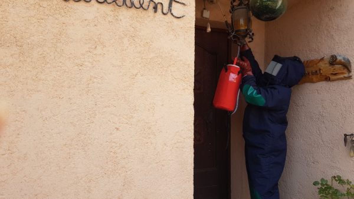 technicien en train de détruire un nid de frelons au dessus d'une porte d'entrée