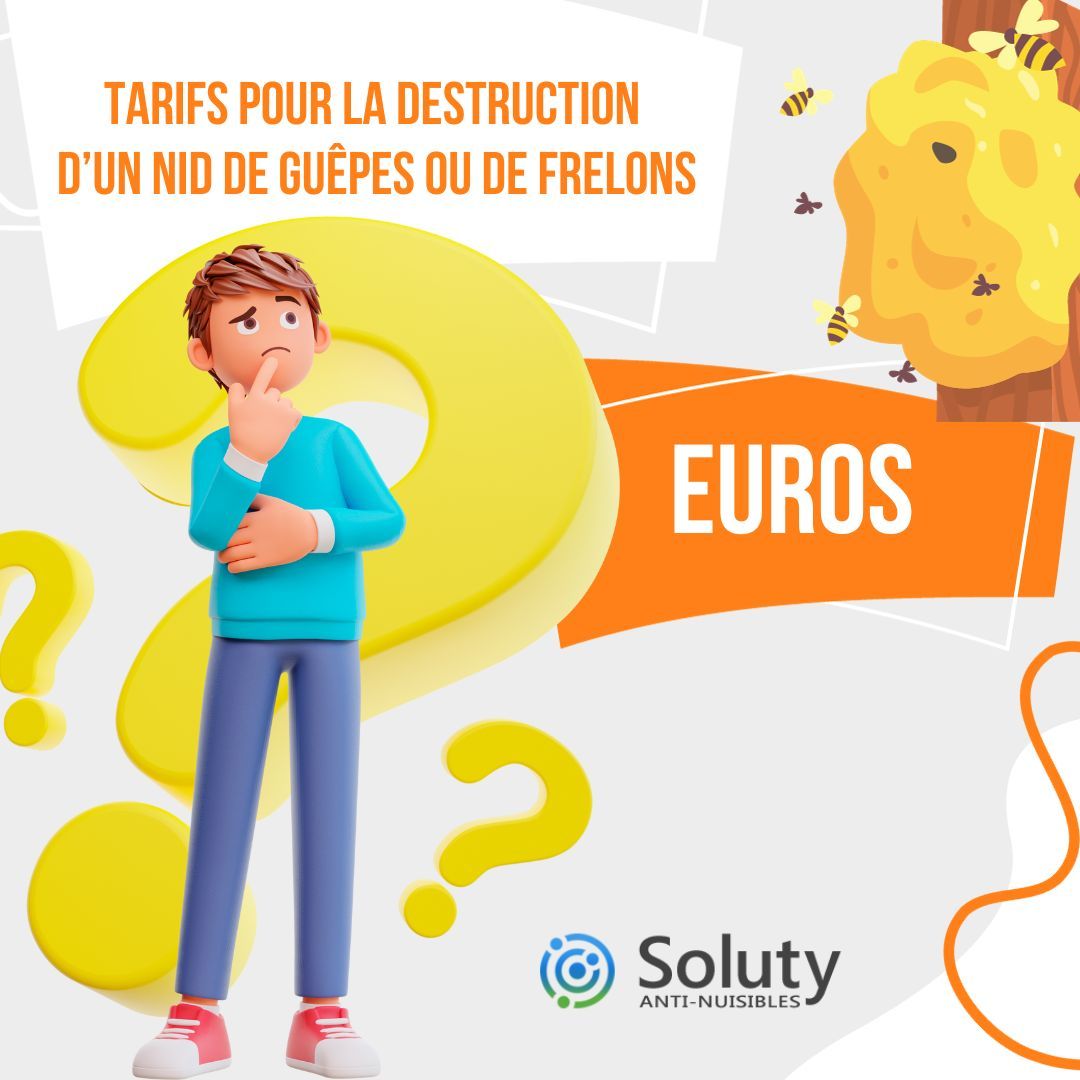 infographie sur les tarifs pour la destruction  d’un nid de guêpes ou de frelons